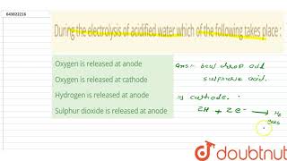 During the electrolysis of acidified water which of the following takes place   10  SELF ASSE [upl. by Annawik532]