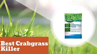 Best Crabgrass Killer That Wont Kill Grass [upl. by Busby]