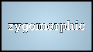 Zygomorphic Meaning [upl. by Artenal]