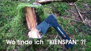 Kienspan finden Kienspan ernten  Maya Sticks  Fatwood  Survival Feuer  Überlebensfeuer [upl. by Pope331]