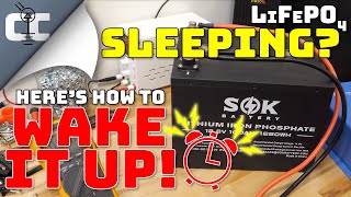 How to Wake a Sleeping LiFePO4 Battery 🔋 Charge a Fully Depleted Lithium Iron Phosphate Battery [upl. by Arramas]