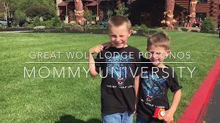 A Tour of the Wolf Den Room at Great Wolf Lodge in the Poconos [upl. by Sasha]