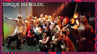 Zumanity Mannequin Challenge  by Cirque du Soleil  Cirque du Soleil [upl. by Yaras]