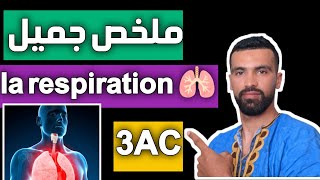 درس التنفس مستوى الثالثة إعدادي الجزء الثاني la respiration 3AC SVT [upl. by Niriam]