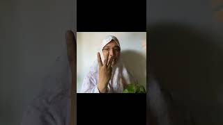 পত্রবিন্যাস বা phyllotaxy shortvideo flowers tips [upl. by Airetal576]