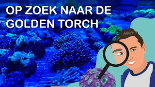 AQUARIA WINKELS BEZOEKEN DEEL 1 ZOETWATER amp ZOUTWATER ZuidHolland amp NoordBrabant [upl. by Gapin]