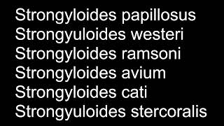 Strongyloides sp  Parasitología  MV Z UNAMFESC [upl. by Thomson]