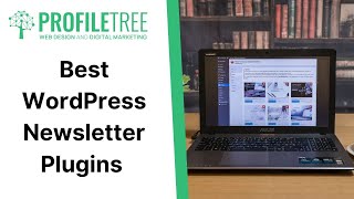 Best WordPress Newsletter Plugins  WordPress Plugin  WordPress Tutorial  Build WordPress Website [upl. by Leasia]