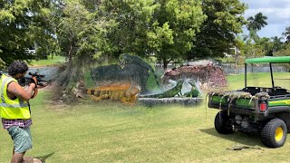 Day 2 Iguanas Nest in Cypress Tree Nook Golf Course Hires to Bounty Hunt Trespassing iguanas [upl. by Akirret298]