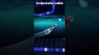 Underwater cable  shorts  facts  dailyshorts [upl. by Durarte]