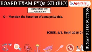 Mention the function of zona pellucida CBSE 12 Delhi 2015 C [upl. by Hauhsoj]