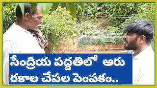 organic fish farming in telugu  organic aquaculture in telugu [upl. by Stoddart388]