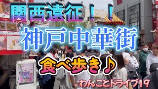 【食べ歩き】神戸中華街を食べ歩き！！わんことドライブ19 食べ歩き 中華街 神戸 [upl. by Ahseniuq787]