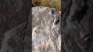 Huge Sheared Off Agate Boulder [upl. by Patsy804]