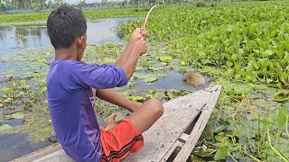 Best Hook Fishing  Hook Fishing With Boat  Fishing with Beautiful Nature [upl. by Ahsoyem]