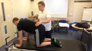 PNF Core stability exercises [upl. by Maidel881]