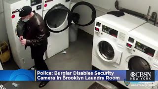 Police Burglar Disables Security Camera In Brooklyn Laundry Room [upl. by Jocelyne]