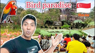 Singapore Bird paradise Mandai Wildlife ReserveTravelearn [upl. by Haila]