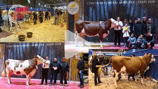 Concours race Montbéliarde au SIA 2018  une championne alsacienne [upl. by Ultan658]