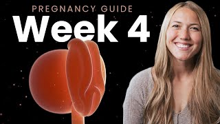 4 Weeks Pregnant  Week By Week Pregnancy [upl. by Llenrap]