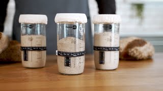 KneadAce® Sourdough Starter Guide [upl. by Feerahs]