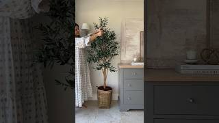 Our new Faux Olive Tree 🌳🌿 unboxing unboxingvideo fauxolivetree [upl. by Aihselef964]