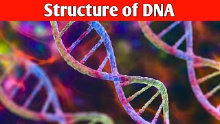 quotThe Double Helix Unraveling the Fascinating Structure of DNAquot DNA in UrduHindi [upl. by Amarillis]