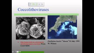 VirS15 Lecture 22 Giant Viruses [upl. by Neahs]