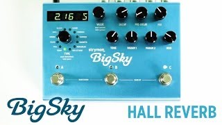 Strymon BigSky  Hall Reverb machine audio demo [upl. by Dygal]