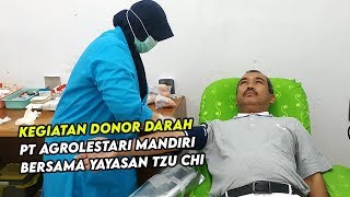 Kegiatan Donor Darah Yang Dilaksanakan PT Agrolestari Mandiri Bersama Yayasan Tzu Chi [upl. by Darya]