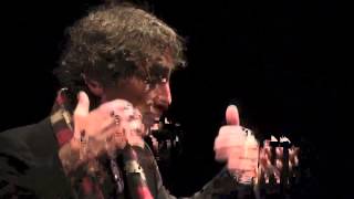 Gabor Mate on What To Do with Ayahuasca Revelations [upl. by Marvel38]