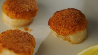 ChorizoCrusted Scallops with Michelle Branch  Cook Taste Eat Ep 3 [upl. by Oicangi]