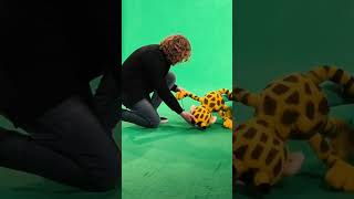 behindthescenes beim Musikvideo mit Michael Schulte 🐒🦒 giraffenaffen shorts [upl. by Nanyk]