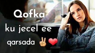 QOFKA Ku Jecel ee kaa Qarsada  10 wax uu sameeyo [upl. by Ainavi]