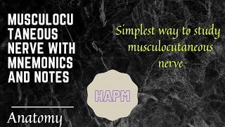 Musculocutaneous nerve with mnemonics and notes [upl. by Chor754]