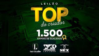 Leilão TOP do Criador  FAX 2024 [upl. by Ssitruc]