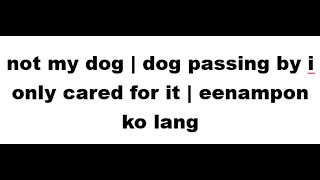 not my dog  i only cared for that dog that passed by  eenampon ko lang  SHORTS [upl. by Oalsecnew]