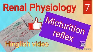 Micturition reflex physiology cystometrogram [upl. by Nomaid]