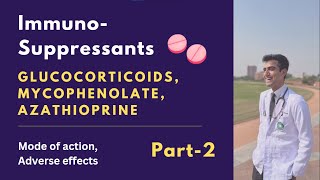 Immunosuppressants part 2 Glucocorticoids Azathioprine Mycophenolate mofetil Mechanism of action [upl. by Dyrrej]