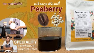 แนะนำกาแฟพม่า Peaberry อราบิก้า 00 single Origin Natural Process กาแฟใหม่ ของ Oriental Coffee [upl. by Domonic]