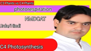 Photorespiration  C4 Photosynthesis  C3 vs C4 Plants  class 11  Dr Mushtaq lectures [upl. by Marwin]