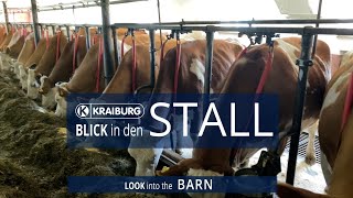 Kombihaltung – Blick in den Stall [upl. by Arrej]