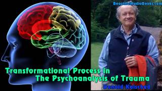 Transformational Process in the Psychoanalysis of Trauma by Donald Kalsched  part 4 [upl. by Downall]