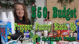 50 Budget Prepper Pantry Stock Up from Dollar Tree [upl. by Hauhsoj919]