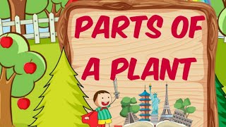 Parts of plants Science  Animation video  Worksheets  Interesting video for kids [upl. by Nyved]