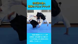 Amazing dropkick from an Aikido master [upl. by Kilam559]