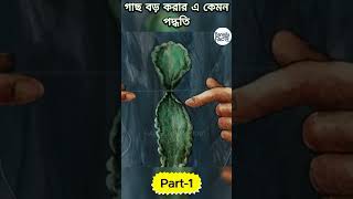 গাছ বড় করার এ কেমন পদ্ধতি II 😱😨cartoon facts bhuter animation katunbangla banglacartoonviral [upl. by Gusti355]