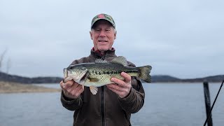 Table Rock Lake Video Fishing Report March 5 2024 short [upl. by Fries]