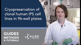 Allen Cell Methods Cryopreservation of clonal human iPS cell lines in 96well plates [upl. by Nevar]