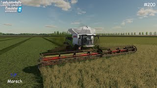 LS22NFMARSCH 4FACHVermehrungsgras ernten und Gras sammeln200 FS22 [upl. by Kyl]